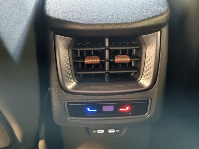 Cupra Terramar Gebrauchtwagen Cupra Terramar Gebrauchtwagen