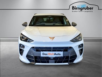 Cupra Terramar Gebrauchtwagen Cupra Terramar Gebrauchtwagen