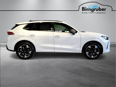 Cupra Terramar Gebrauchtwagen Cupra Terramar Gebrauchtwagen