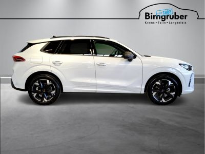 Cupra Terramar Gebrauchtwagen Cupra Terramar Gebrauchtwagen