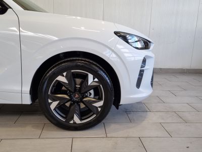 Cupra Terramar Gebrauchtwagen Cupra Terramar Gebrauchtwagen