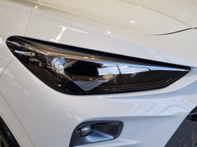 Cupra Terramar Gebrauchtwagen Cupra Terramar Gebrauchtwagen