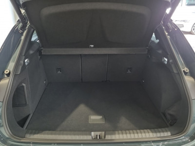 Cupra Terramar Gebrauchtwagen