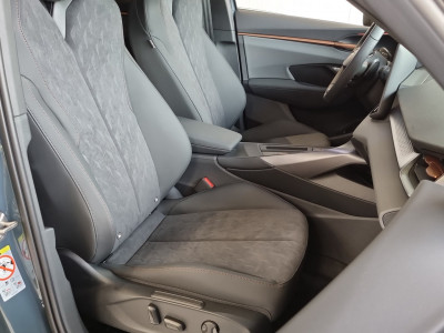 Cupra Terramar Gebrauchtwagen
