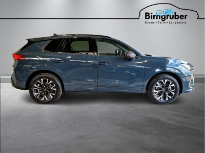 Cupra Terramar Gebrauchtwagen