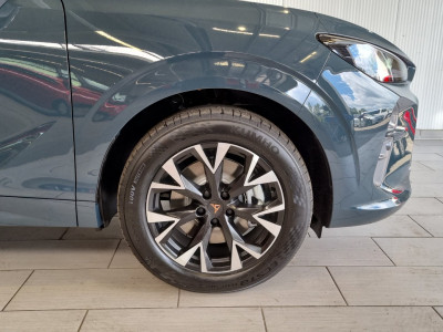 Cupra Terramar Gebrauchtwagen