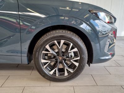 Cupra Terramar Gebrauchtwagen Cupra Terramar Gebrauchtwagen