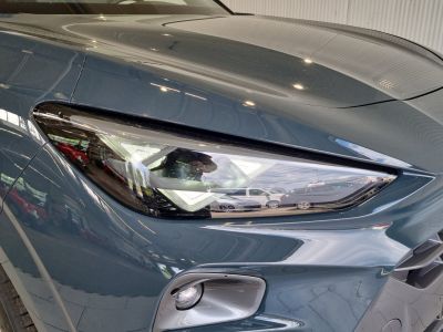 Cupra Terramar Gebrauchtwagen Cupra Terramar Gebrauchtwagen