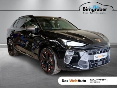 Cupra Terramar Gebrauchtwagen Cupra Terramar Gebrauchtwagen