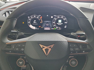 Cupra Terramar Gebrauchtwagen