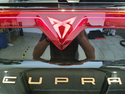 Cupra Terramar Gebrauchtwagen