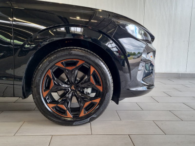 Cupra Terramar Gebrauchtwagen
