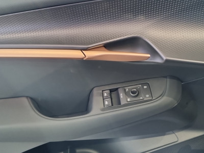 Cupra Tavascan Gebrauchtwagen