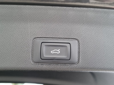 Cupra Terramar Gebrauchtwagen