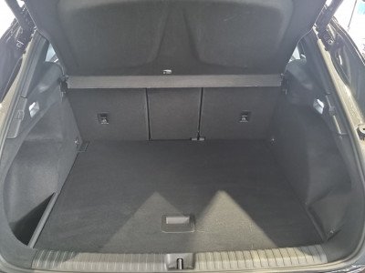 Cupra Terramar Gebrauchtwagen