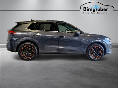Cupra Terramar Gebrauchtwagen