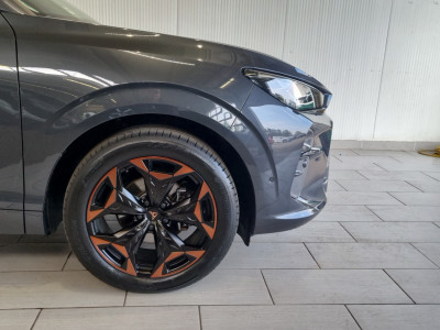 Cupra Terramar Gebrauchtwagen