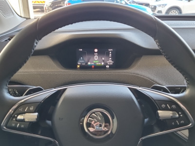 Skoda Enyaq Gebrauchtwagen