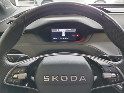 Skoda Enyaq Gebrauchtwagen