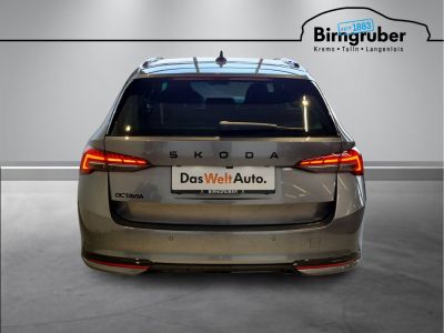 Skoda Octavia Gebrauchtwagen Skoda Octavia Gebrauchtwagen