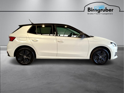 Skoda Fabia Gebrauchtwagen Skoda Fabia Gebrauchtwagen