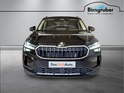 Skoda Kodiaq Gebrauchtwagen Skoda Kodiaq Gebrauchtwagen