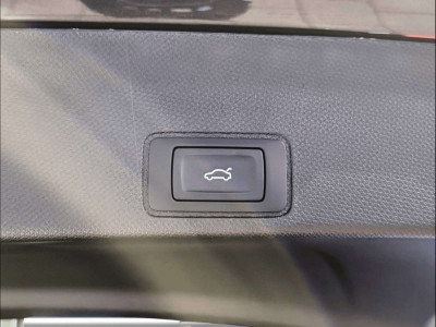 Cupra Terramar Gebrauchtwagen Cupra Terramar Gebrauchtwagen