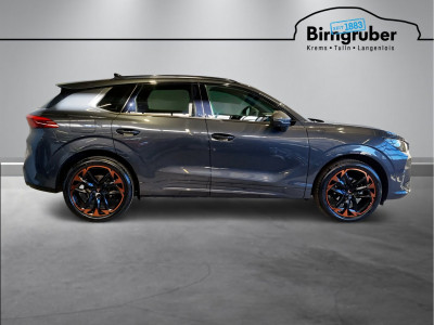 Cupra Terramar Gebrauchtwagen Cupra Terramar Gebrauchtwagen