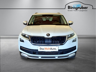 Skoda Kodiaq Gebrauchtwagen