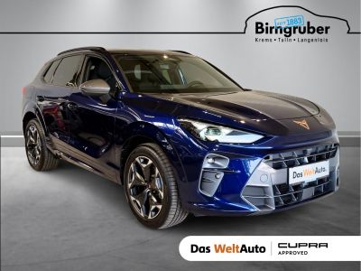 Cupra Terramar Gebrauchtwagen Cupra Terramar Gebrauchtwagen