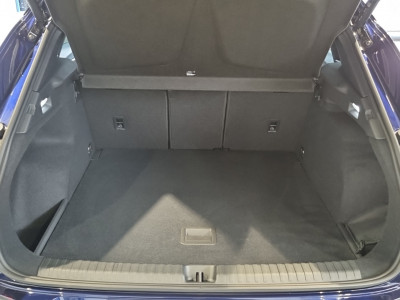 Cupra Terramar Gebrauchtwagen