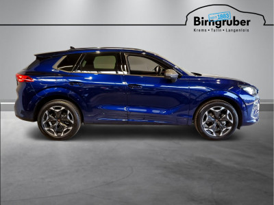 Cupra Terramar Gebrauchtwagen