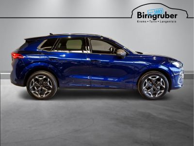 Cupra Terramar Gebrauchtwagen Cupra Terramar Gebrauchtwagen