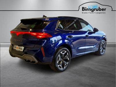 Cupra Terramar Gebrauchtwagen Cupra Terramar Gebrauchtwagen