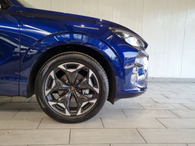 Cupra Terramar Gebrauchtwagen Cupra Terramar Gebrauchtwagen