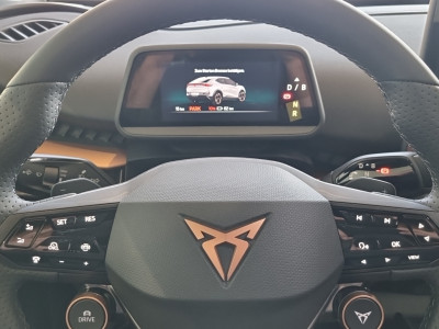 Cupra Tavascan Gebrauchtwagen