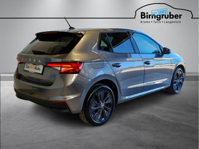 Skoda Fabia Gebrauchtwagen