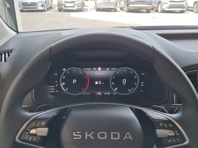 Skoda Karoq Gebrauchtwagen Skoda Karoq Gebrauchtwagen