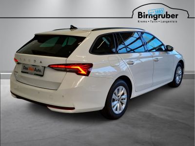 Skoda Octavia Gebrauchtwagen
