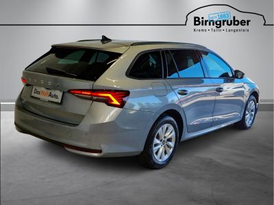 Skoda Octavia Gebrauchtwagen Skoda Octavia Gebrauchtwagen