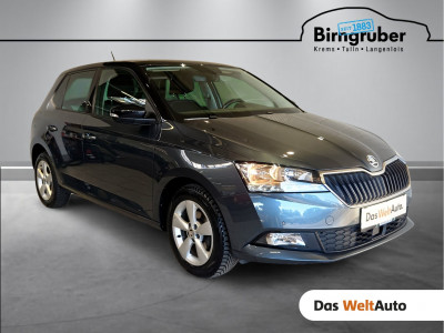 Skoda Fabia Gebrauchtwagen