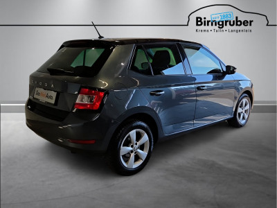 Skoda Fabia Gebrauchtwagen