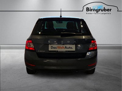 Skoda Fabia Gebrauchtwagen