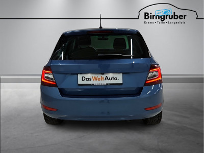Skoda Fabia Gebrauchtwagen
