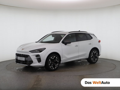 Cupra Terramar Gebrauchtwagen Cupra Terramar Gebrauchtwagen