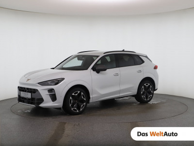 Cupra Terramar Gebrauchtwagen Cupra Terramar Gebrauchtwagen