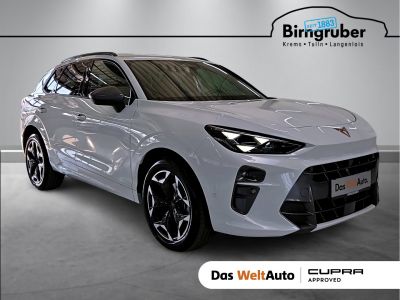 Cupra Terramar Gebrauchtwagen