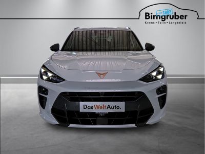 Cupra Terramar Gebrauchtwagen