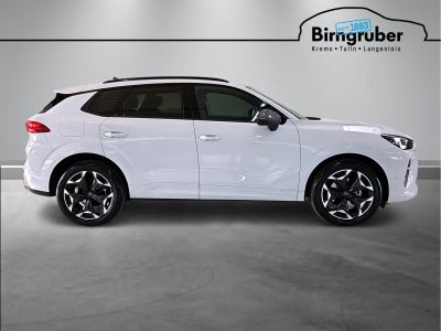 Cupra Terramar Gebrauchtwagen