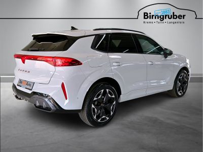 Cupra Terramar Gebrauchtwagen